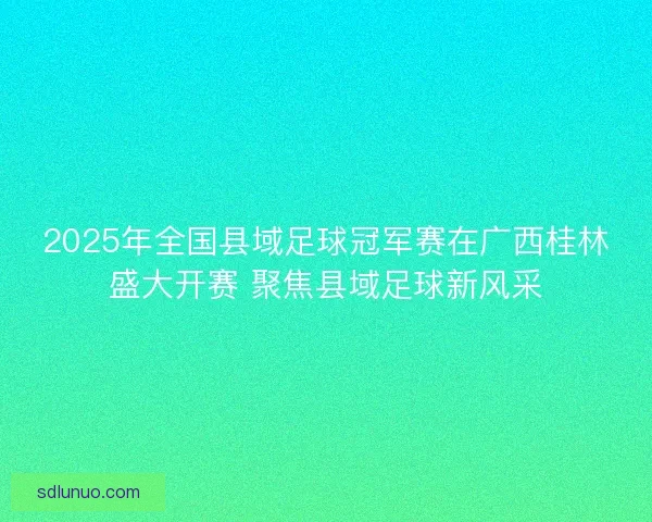 2025年全国县域足球冠军赛在广西桂林盛大开赛 聚焦县域足球新风采