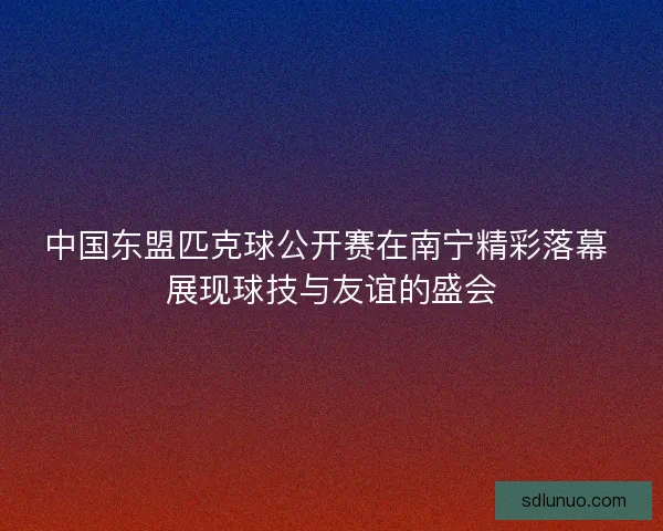 中国东盟匹克球公开赛在南宁精彩落幕 展现球技与友谊的盛会 中国东盟匹克球公开赛在南宁精彩落幕 展现球技与友谊的盛会